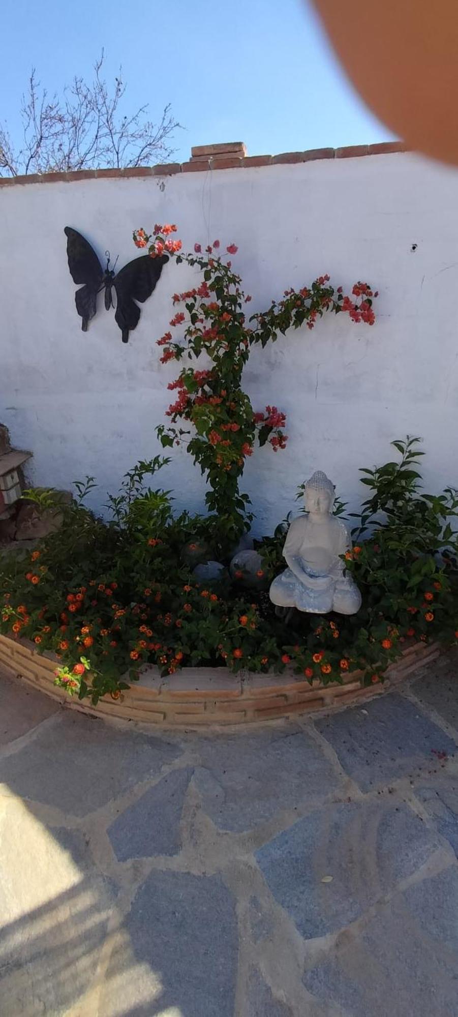 Bed and Breakfast Casa Ceratonia Álora Zewnętrze zdjęcie